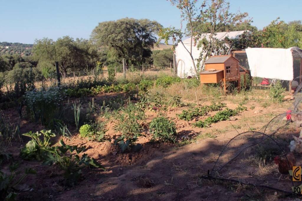 Holiday home Gosto Do Campo Lavre